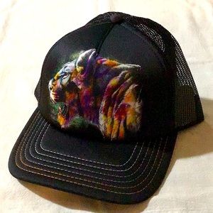 Painted Lion Hat